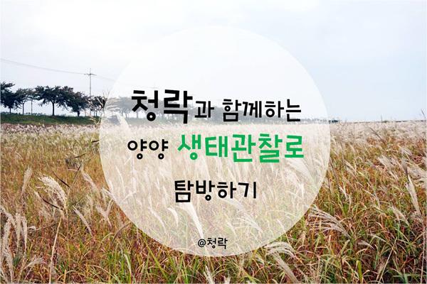 양양관광명소 양양생태관찰로 홍보영상