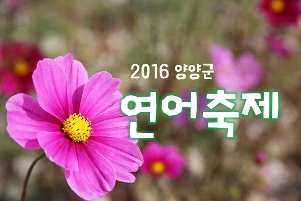 2016 양양연어축제 활동영상(10월15일)
