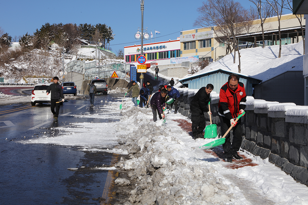 2019 02 01 제설작업